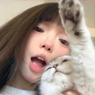 白日青春